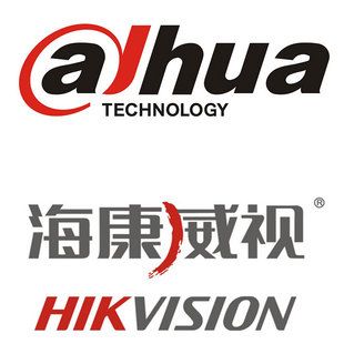 大华监控官网首页图标