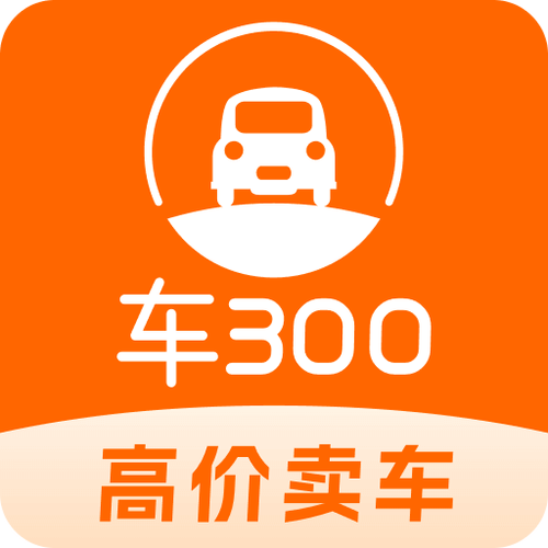 车300二手车官网图标