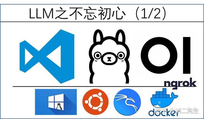 msxml软件必要吗