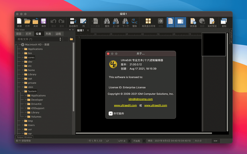 ultraEdit(16进制编辑器)