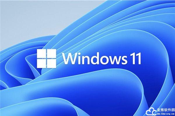 why not win11图标