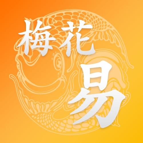 梅花易数笔记2024最新版免费安装图标