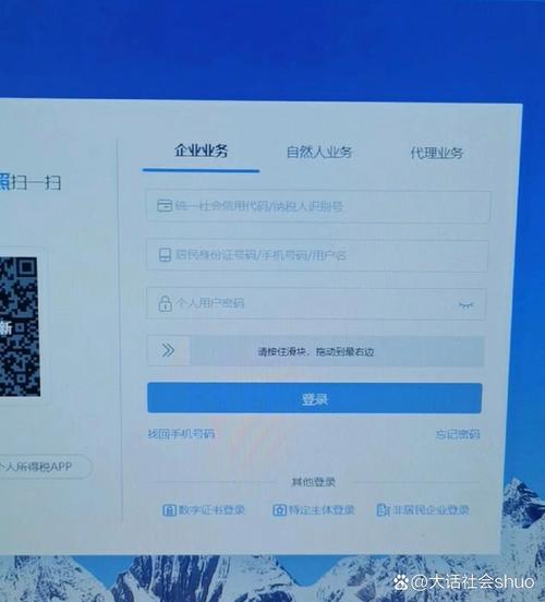 上海税务官网登录入口