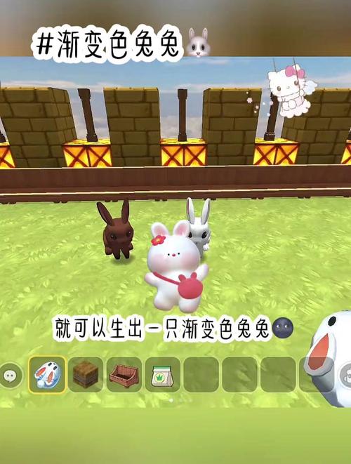 迷你兔子