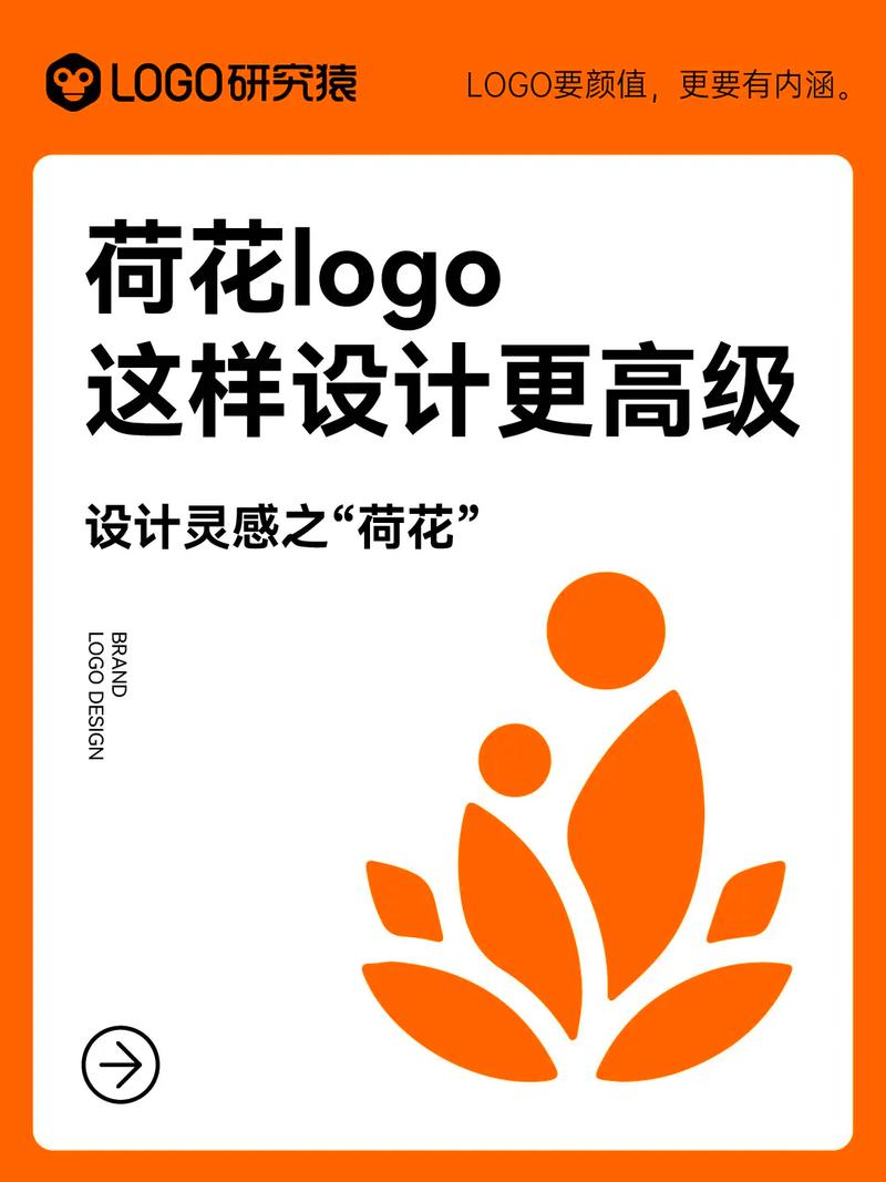 荷花网赚钱版v1.0.0