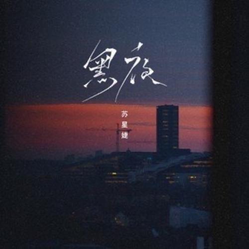 黑夜小说官网版图标
