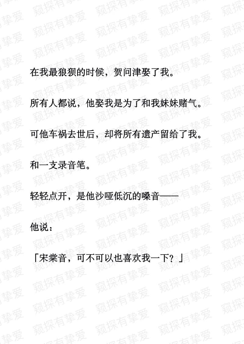 探爱小说