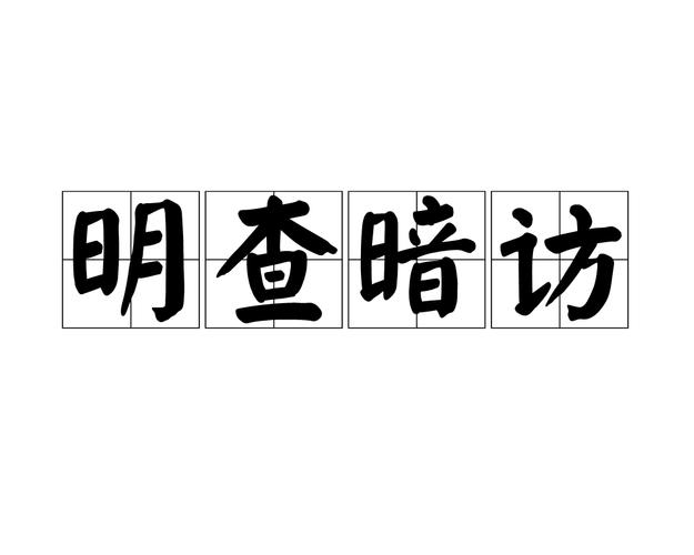明察暗访图标