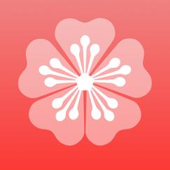 梅花视频APP旧版免费版