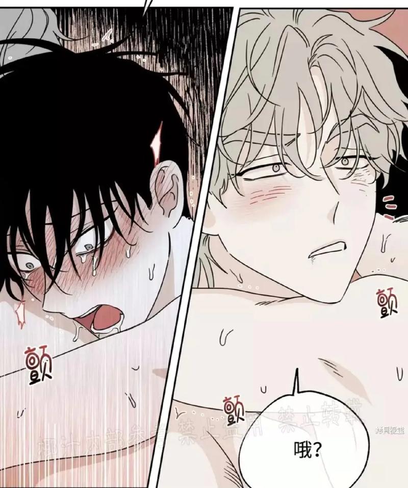 韩漫无羞遮漫画图标