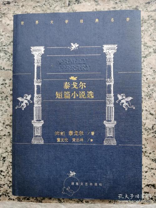 泰尔小说