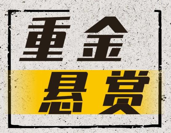 赏金悬赏