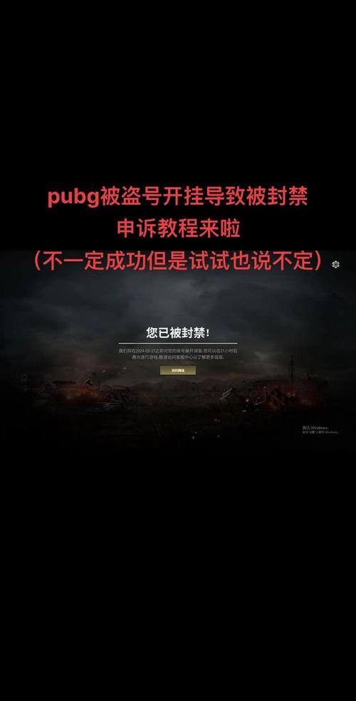 PUBG国际服直装科技防封软件