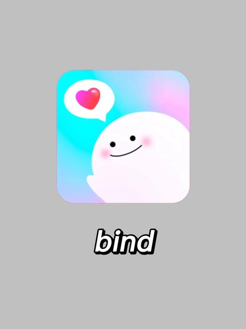 BIND软件免费版图标