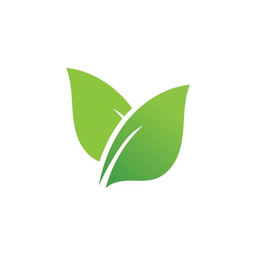 绿色图标