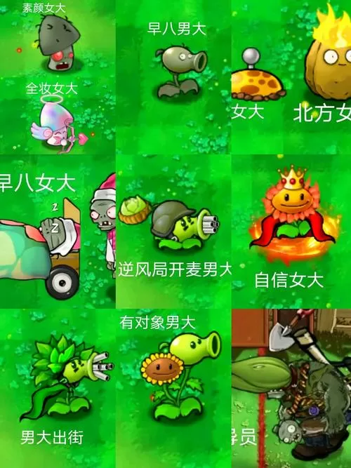 植物大战僵尸杂交版免费