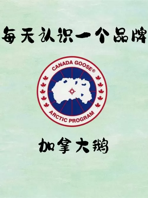 60斤的巨型鹅