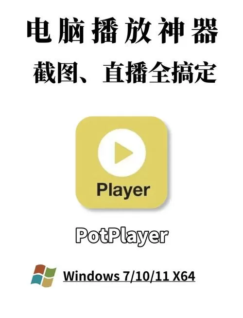 potplayer扩展到大屏图标