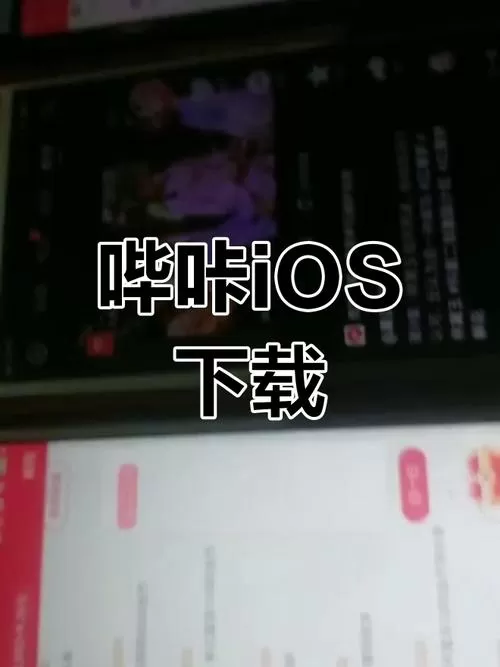 哔咔apk