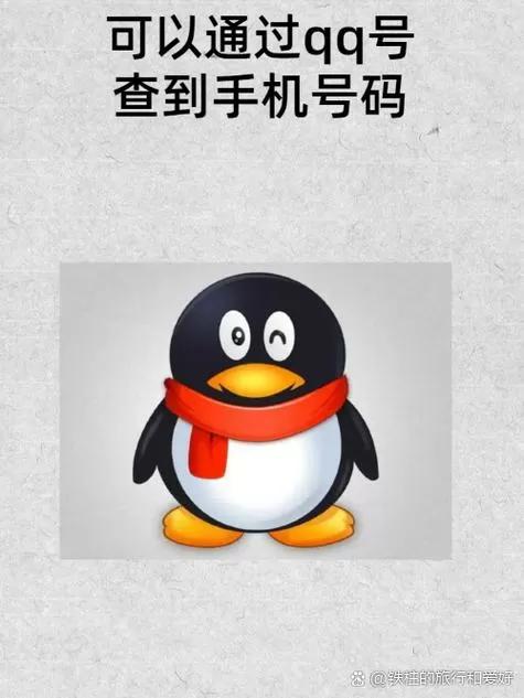 qq查手机号码在线网站