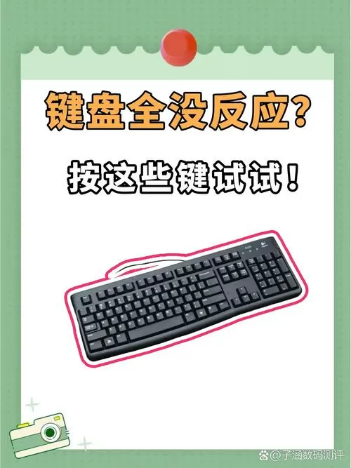 键盘灯亮按键没反应怎么回事图标