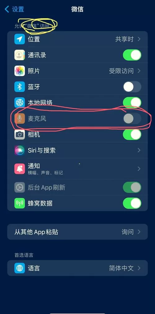 苹果手机没有麦克风权限怎么回事图标