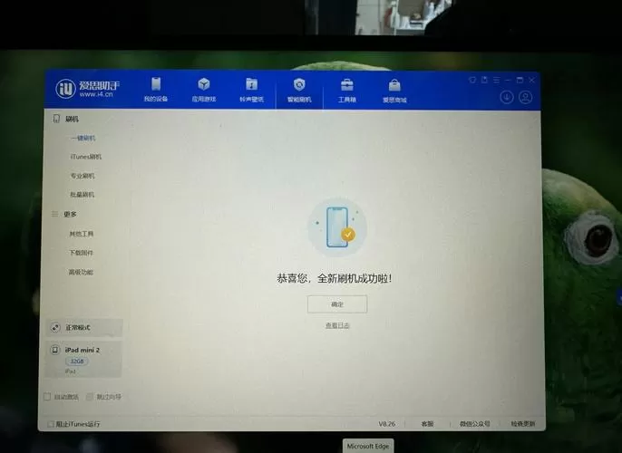 ipad刷机后显示8小时后再试图标