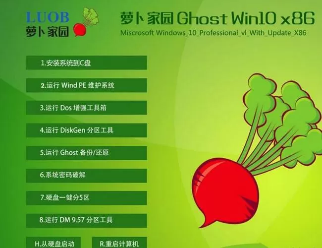 萝卜家园安卓版