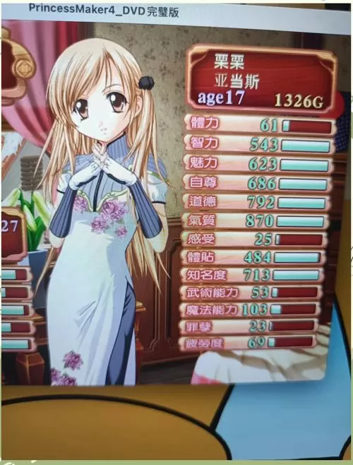 美少女梦工厂4攻略秘籍图标