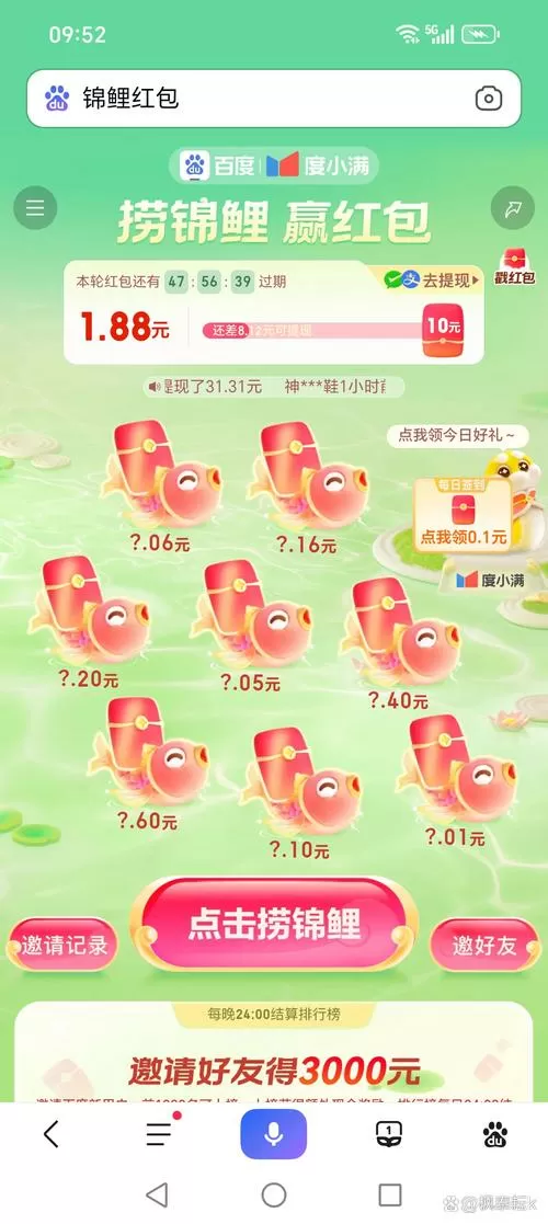 锦鲤来了