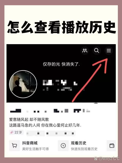 抖音简洁版apk