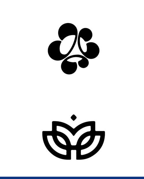 解落什么能开什么花