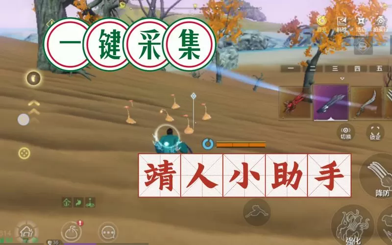 妄想山海自动采集脚本免费版