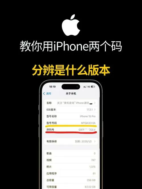 苹果手机版本号在哪里