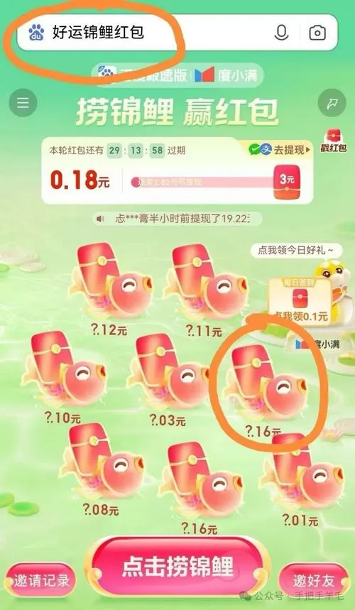 锦鲤来了