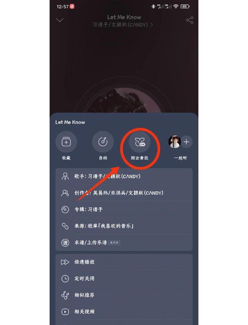 网易云音乐怎么改格式图标