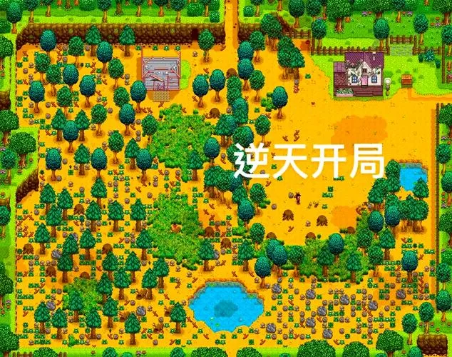 星星村