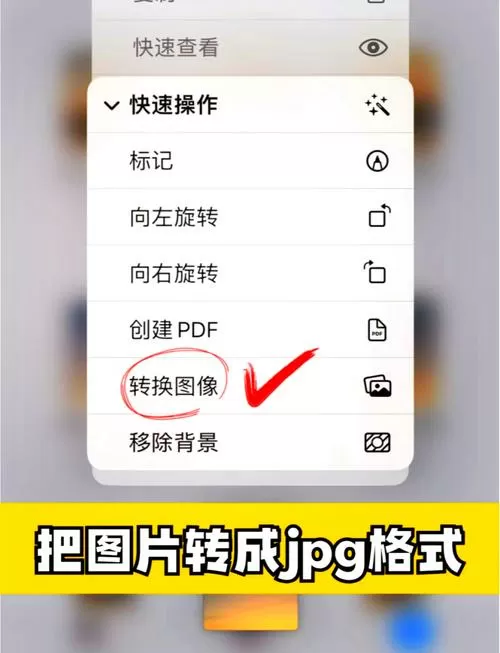 苹果手机照片编辑文本怎么改颜色图标