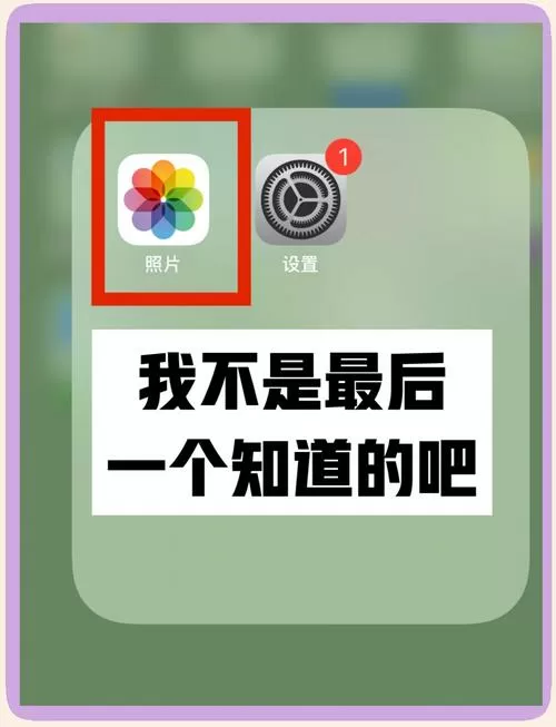 苹果视频