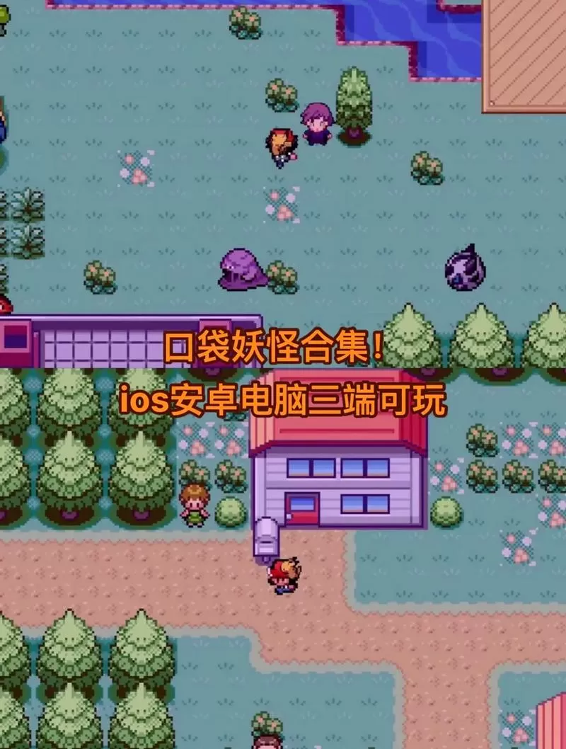 口袋妖怪单机版修改器