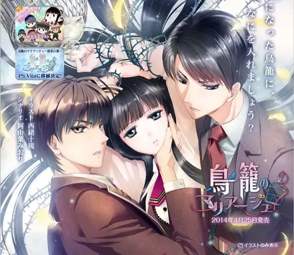鸟笼婚姻汉化版