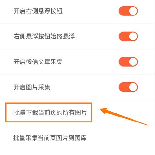 手机chrome怎么保存视频图标