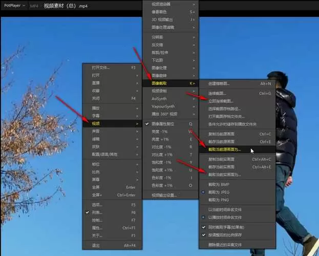 potplayer页面无弹窗