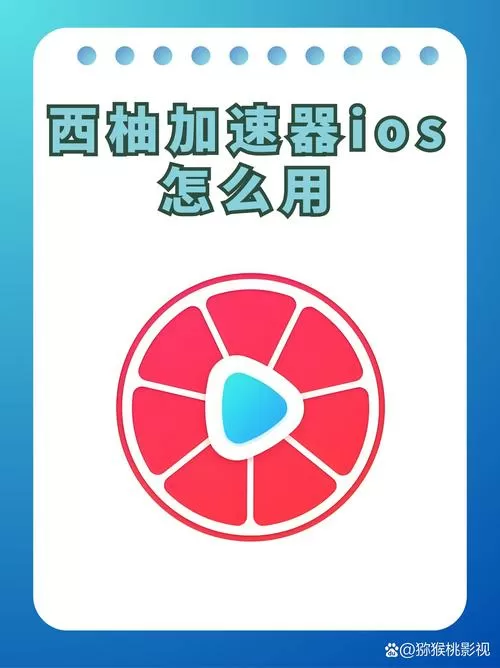 西柚加速器最新版本2025