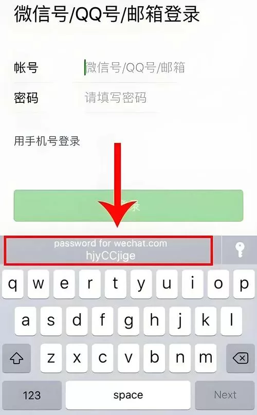 输入iphone密码是什么密码图标