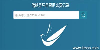 爱鸽足环爱鸽成绩查询
