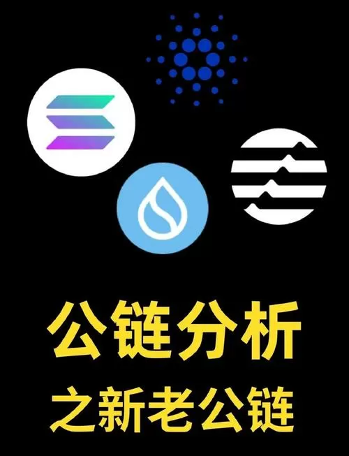 中国合法的公链图标