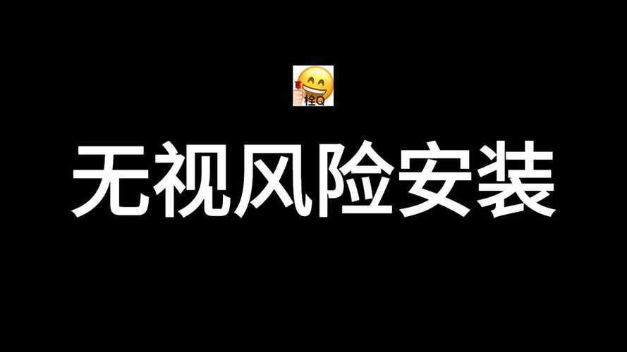 无视风险继续安装的软件