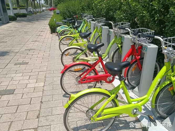 潍坊市公共自行车app图标