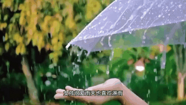 雨天故事原gif播放